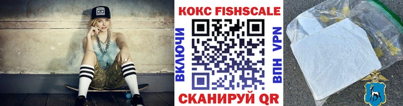 купить наркотик  Заринск  даркнет формула  Cocaine Fish Scale 