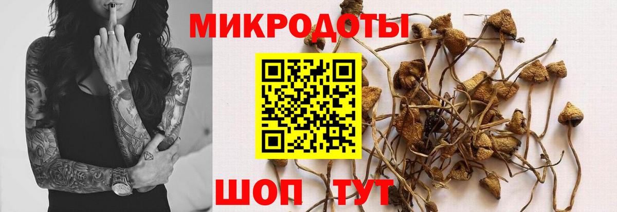 Галлюциногенные грибы Magic Shrooms  Псилоцибиновые грибы Magic Shrooms  Вход с VPN  Заринск 
