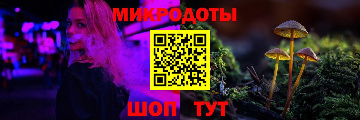 Галлюциногенные грибы Psilocybine cubensis Заринск