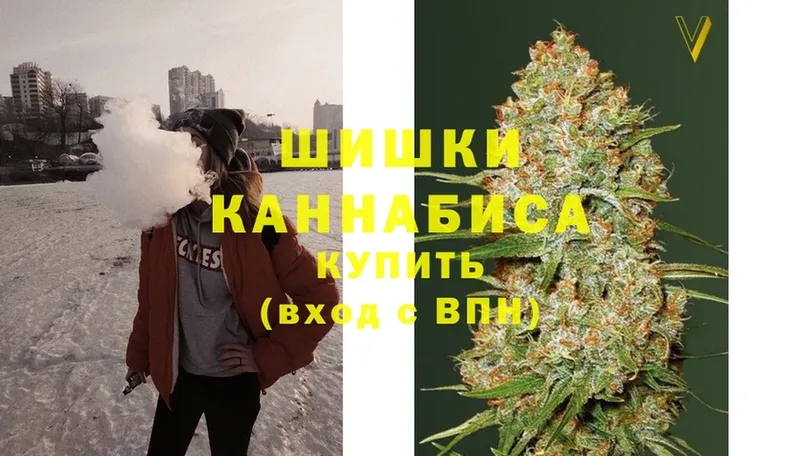 Бошки марихуана SATIVA & INDICA  Заринск 